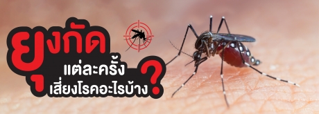 What diseases does each mosquito bite pose a risk of?