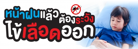 It's rainy season. Apart from the rain, there is also dengue fever from the bad mosquitoes that you have to be careful of and diligently protect their breeding grounds.