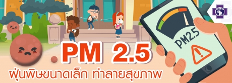 PM 2.5 ฝุ่นพิษขนาดเล็กทำลายสุขภาพ